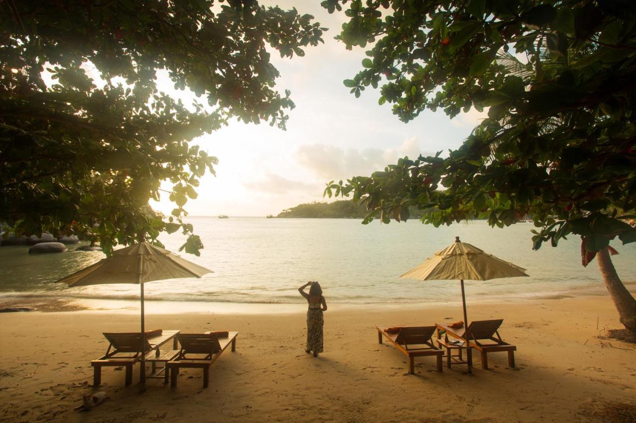 Koh Tao Relax Freedom Beach Resort Exteriér fotografie
